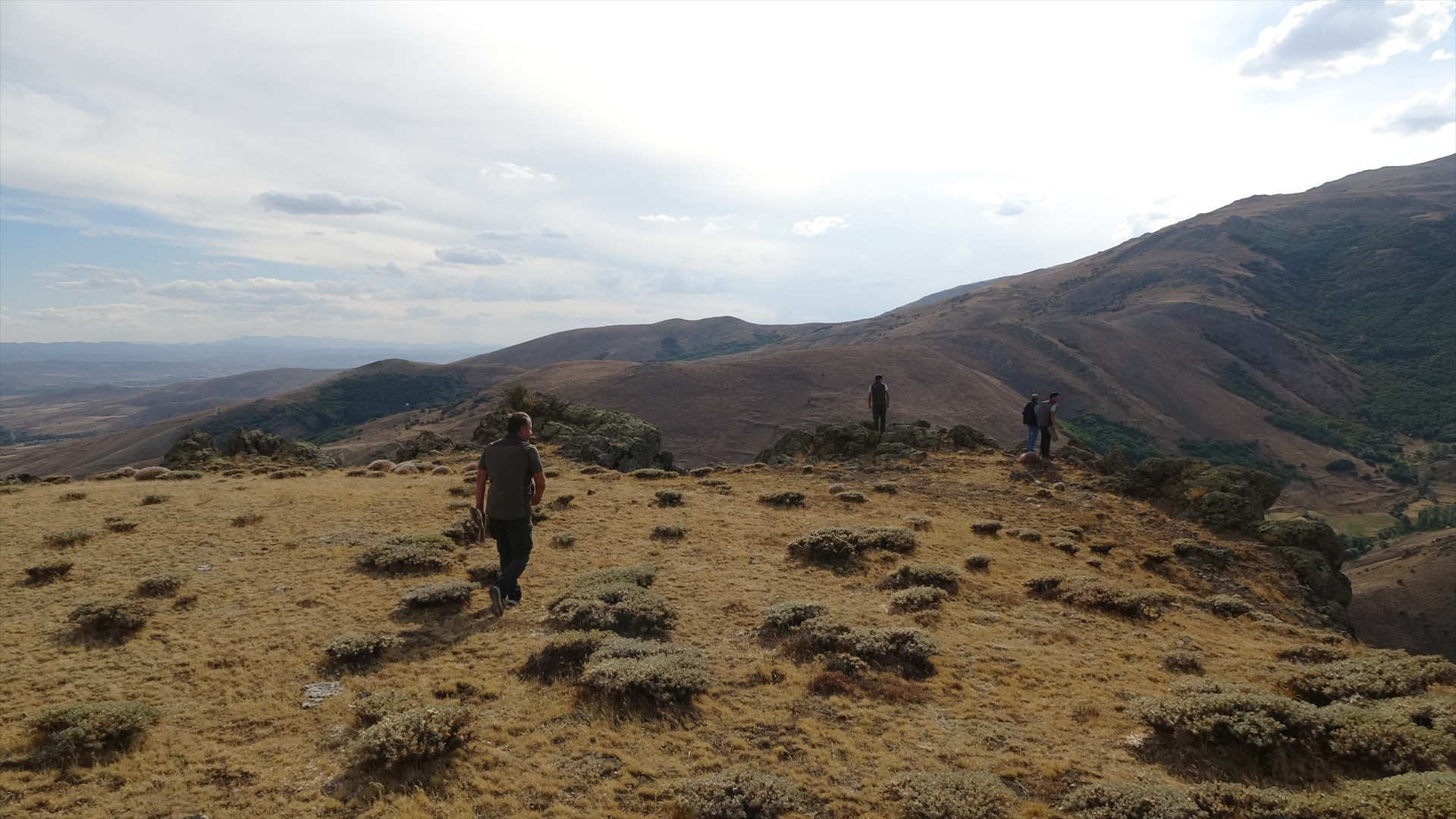 Annesini kaybeden yavru ayı için köylüler harekete geçti Annesini kaybeden yavru ayı için köylüler harekete geçti