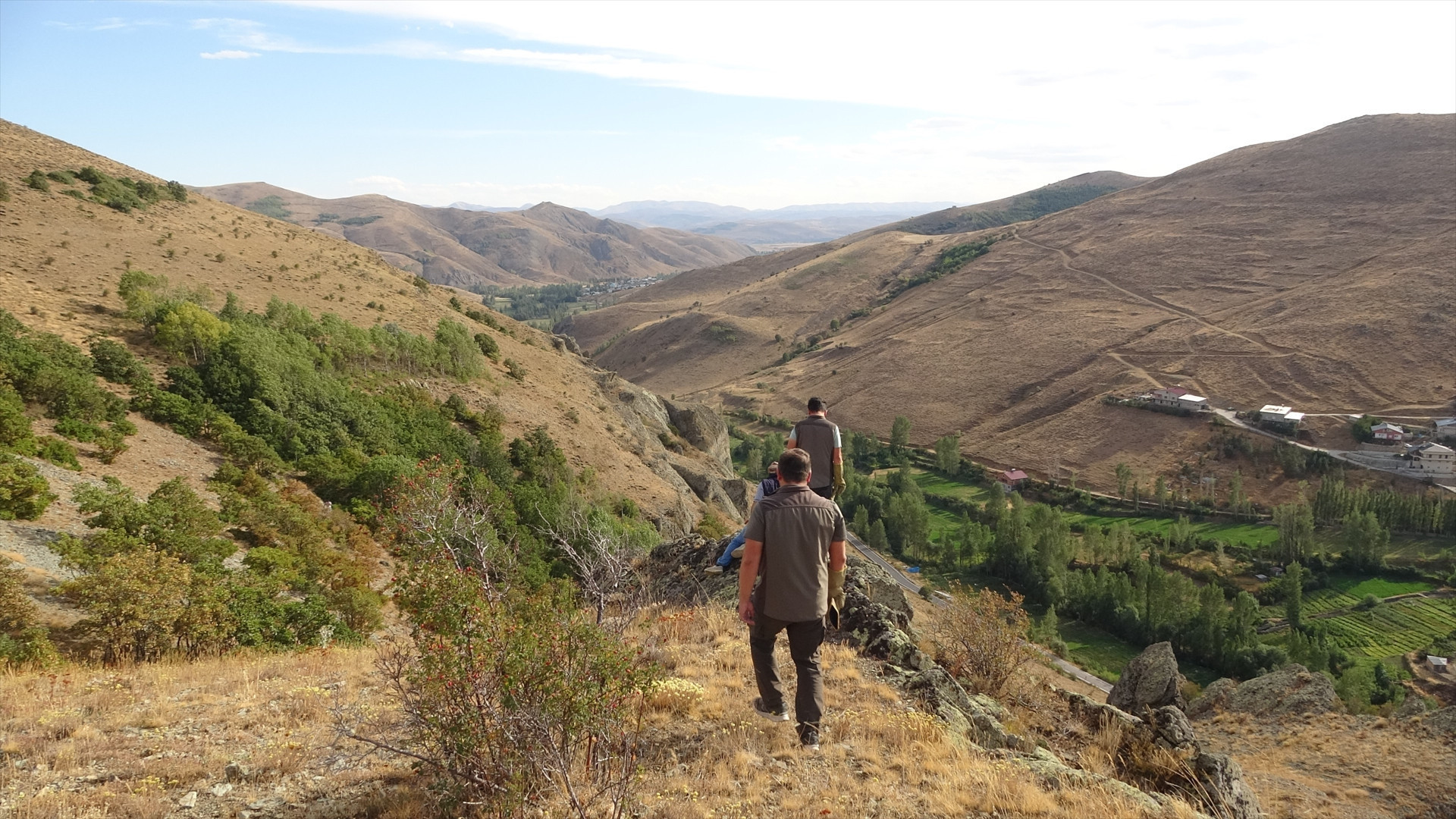 Annesini kaybeden yavru ayı için köylüler harekete geçti Annesini kaybeden yavru ayı için köylüler harekete geçti