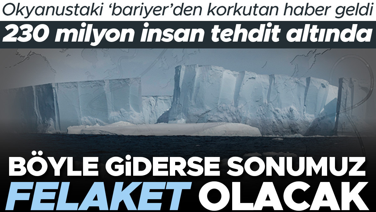 Böyle giderse sonumuz felaket olacak! Okyanusta 'bariyer' görevi görüyor: 230 milyon insan tehdit altında...