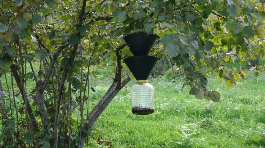 Vatandaşı canından bezdirdi Uzman isim açıkladı: Tedirgin eden bulgular görülüyor... Dokunanlar tehlike altında