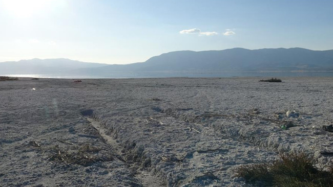 Bölgede fay aktif Deprem yaşandığında binaların ayakta durması mümkün değil dedi ve uyardı