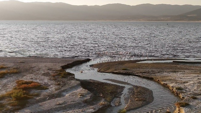 Bölgede fay aktif Deprem yaşandığında binaların ayakta durması mümkün değil dedi ve uyardı