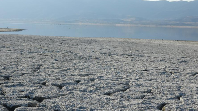 Bölgede fay aktif Deprem yaşandığında binaların ayakta durması mümkün değil dedi ve uyardı