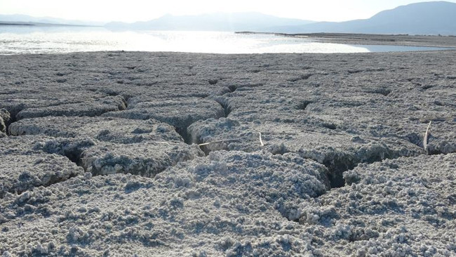 Bölgede fay aktif Deprem yaşandığında binaların ayakta durması mümkün değil dedi ve uyardı