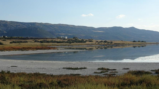 Bölgede fay aktif Deprem yaşandığında binaların ayakta durması mümkün değil dedi ve uyardı