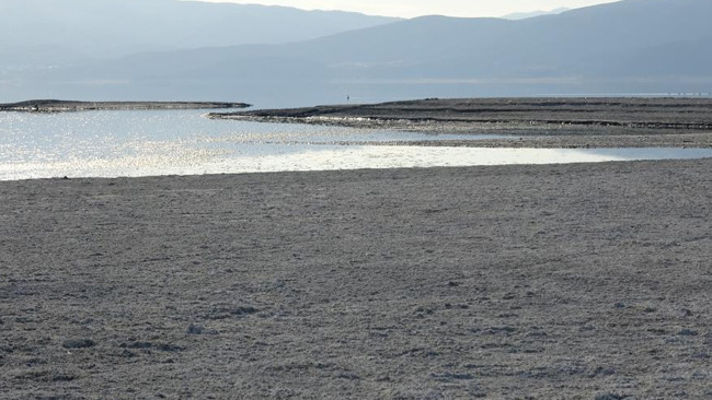 Bölgede fay aktif Deprem yaşandığında binaların ayakta durması mümkün değil dedi ve uyardı