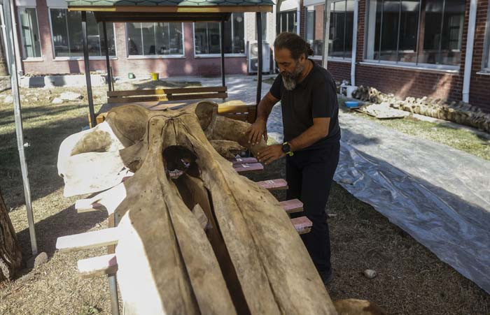 6 günün sonunda toprak altından çıkarıldı 2026 yılında herkes görecek | Artık kemiklerin birleştirilmesi süreci başlıyor