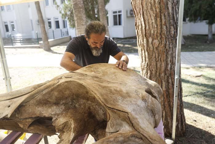 6 günün sonunda toprak altından çıkarıldı 2026 yılında herkes görecek | Artık kemiklerin birleştirilmesi süreci başlıyor