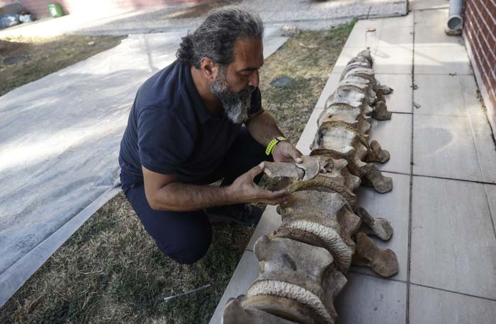 6 günün sonunda toprak altından çıkarıldı 2026 yılında herkes görecek | Artık kemiklerin birleştirilmesi süreci başlıyor