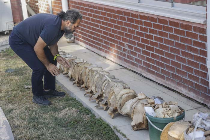 6 günün sonunda toprak altından çıkarıldı 2026 yılında herkes görecek | Artık kemiklerin birleştirilmesi süreci başlıyor