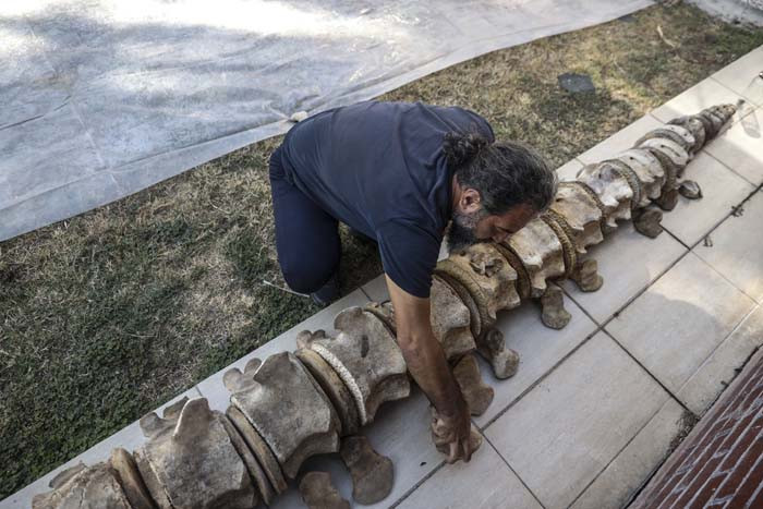 6 günün sonunda toprak altından çıkarıldı 2026 yılında herkes görecek | Artık kemiklerin birleştirilmesi süreci başlıyor