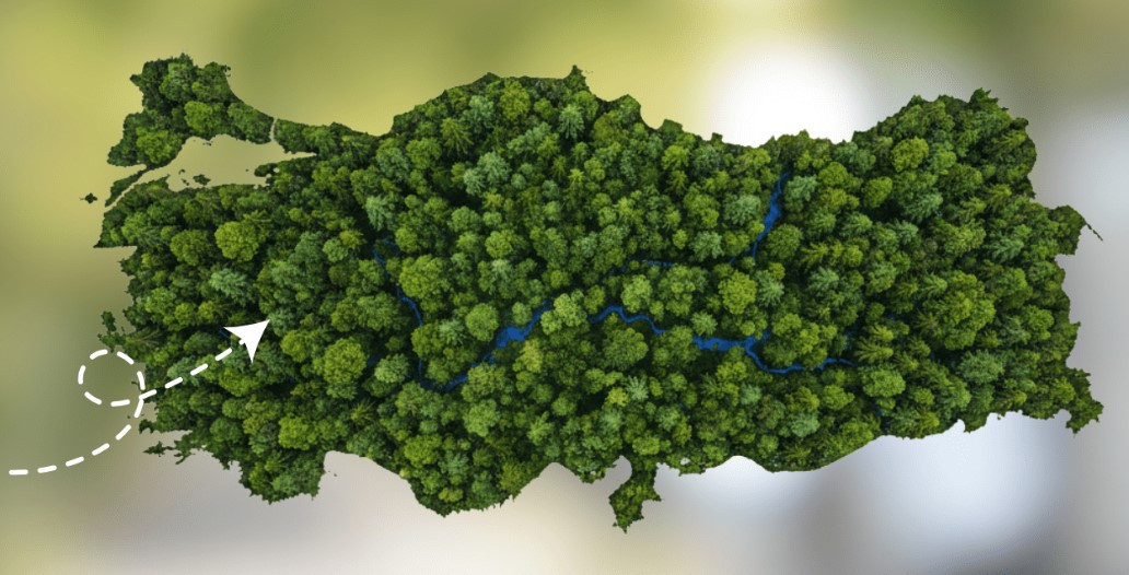 GELECEĞE NEFES FİDAN SAHİPLENDİRME NASIL YAPILIR