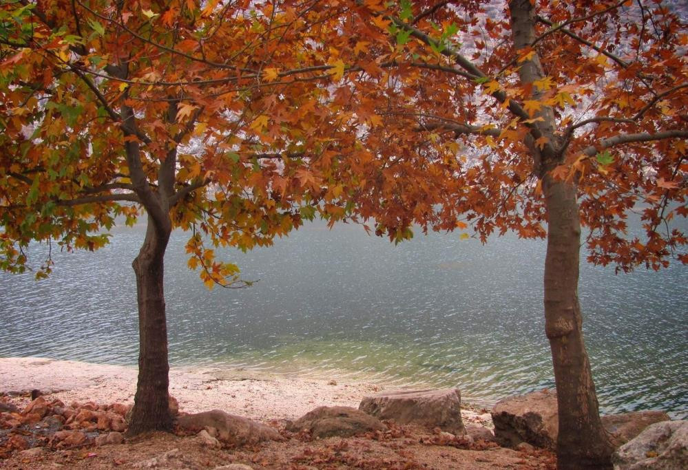Fırat Nehri kıyısında tabloları aratmayan sonbahar manzarası