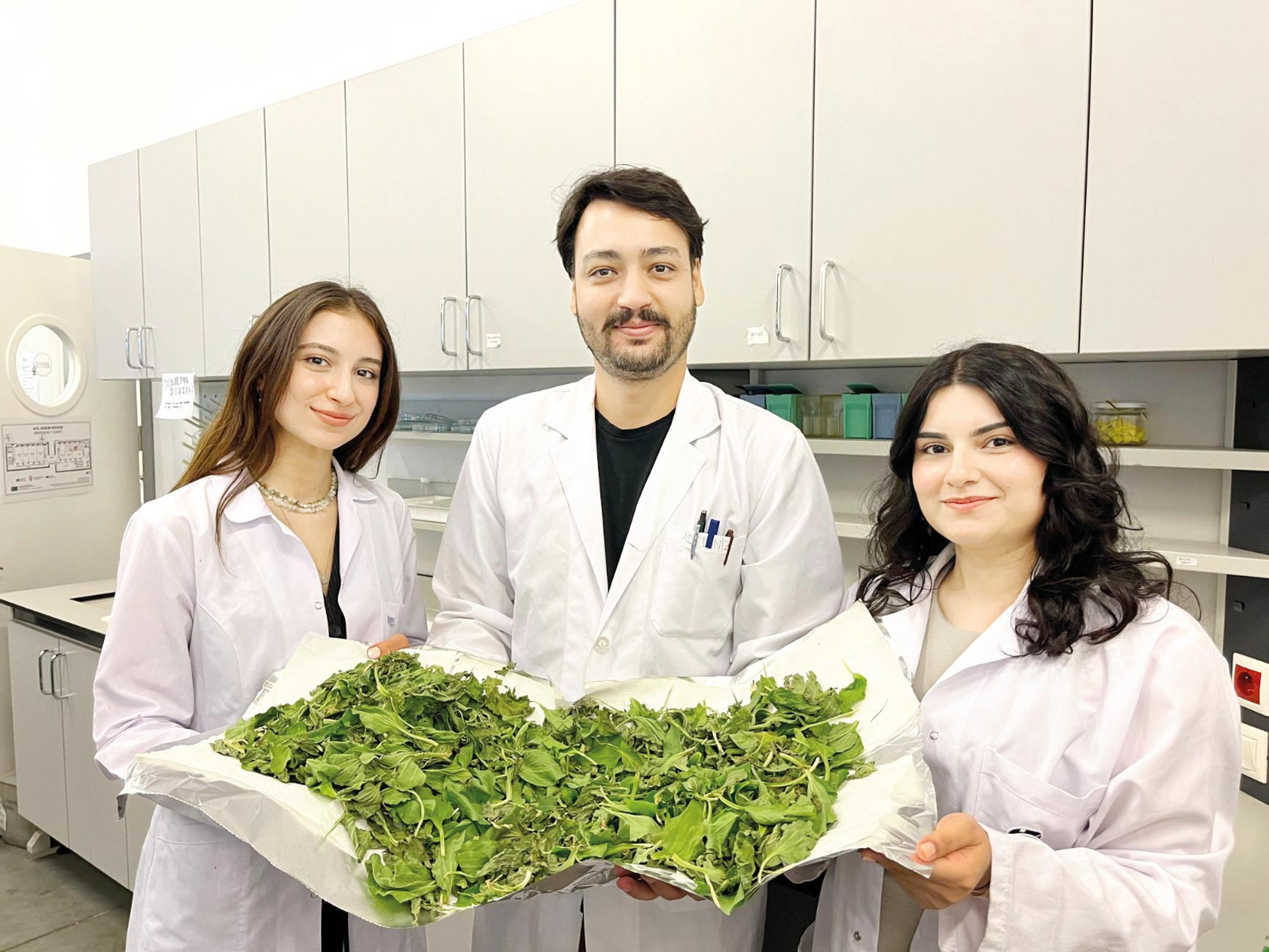 Anneanne karışımı umut oldu