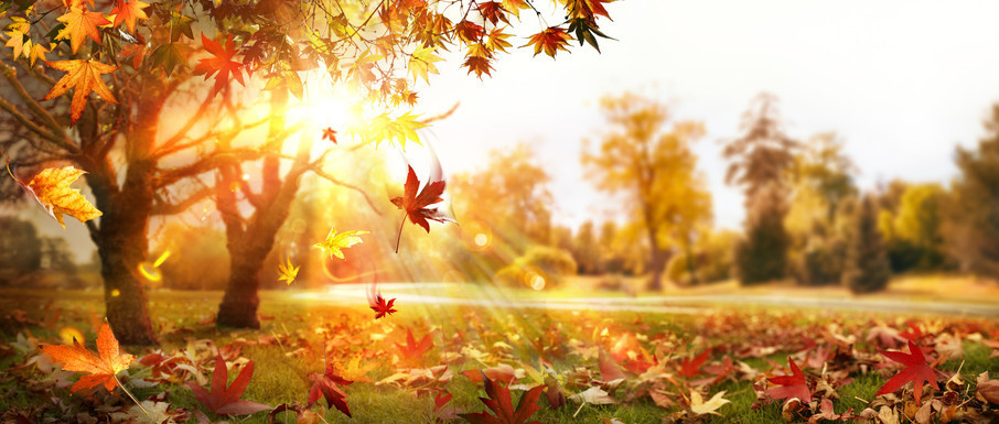 PASTIRMA SICAKLARI TARİHİ VE GÜNLERİ 2025 || Pastırma sıcakları ne zaman, geldi mi Pastırma yazı kaç gün sürecek, başladı mı Meteoroloji duyurdu: Kış mevsimi öncesi yazdan kalma günler...