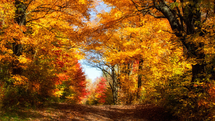 PASTIRMA YAZI KAÇ GÜN SÜRER