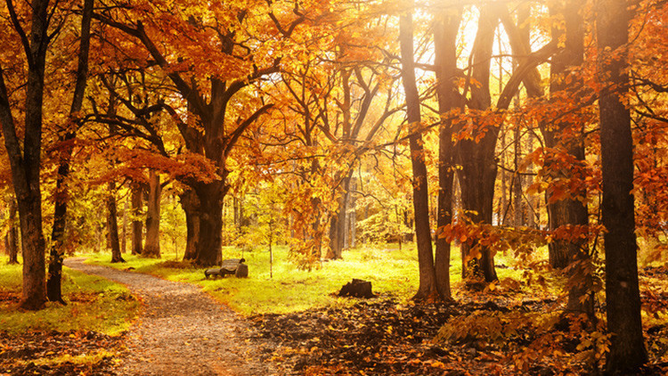 PASTIRMA SICAKLARI NEDİR