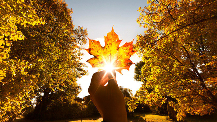 PASTIRMA AYAZI NE DEMEK