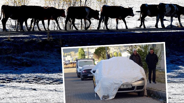 Hava sıcaklığı eksi 6'ya düştü, etraf karla kaplandı! Araçlara brandalı koruma