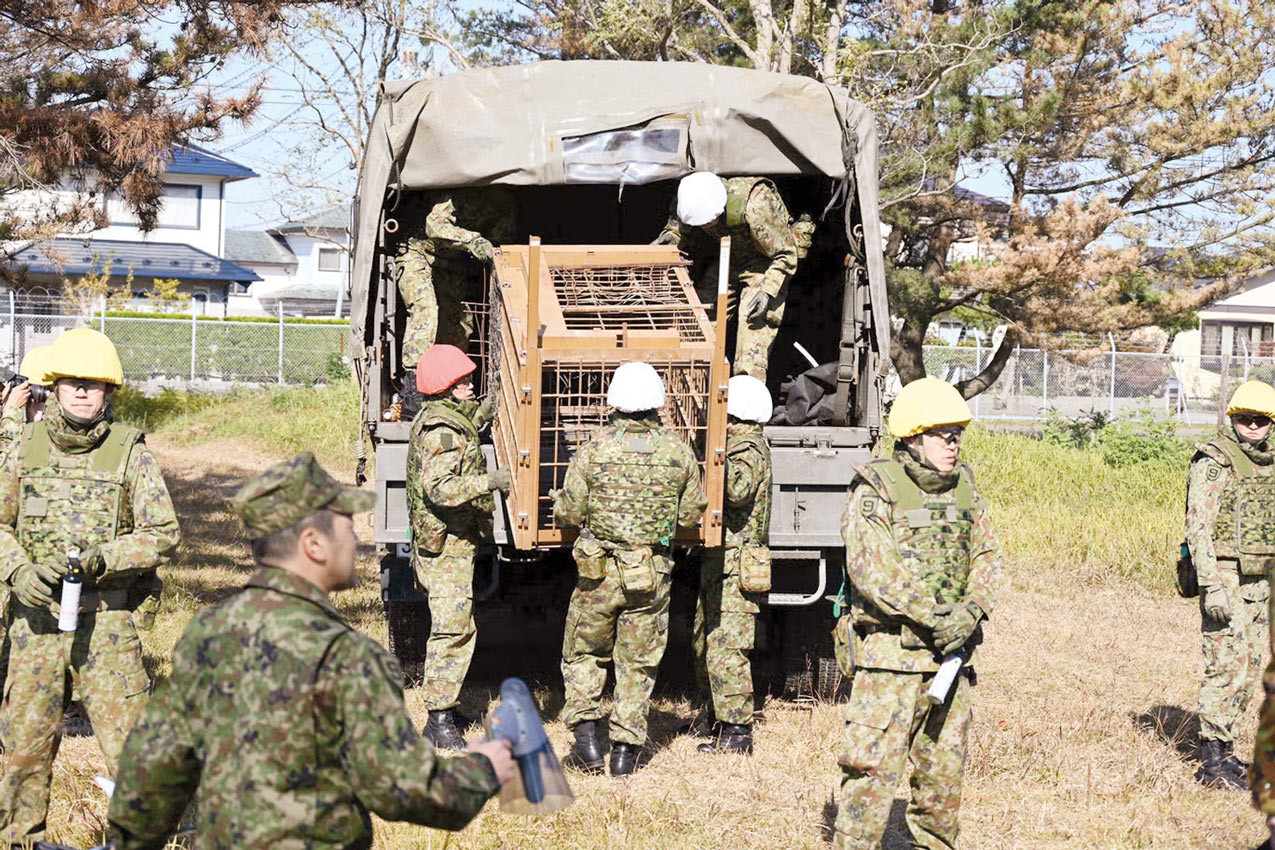 Japon ordusu ayılara karşı
