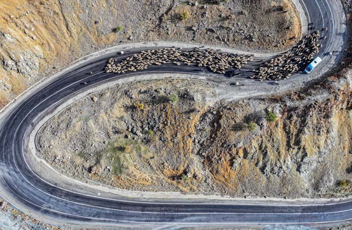 Dönüş yolculuğuna başladılar: 15 gün daha yol yürüyecekler | 'Yapacak bir şey yok, ekmek mücadelesi'