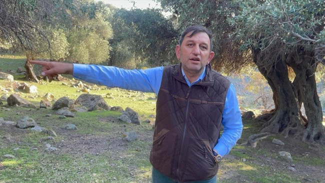 Türkiyede sadece Gökçeadada var Dünyada çok fazla yerde bulunmuyor: Nasıl gelmiş, kim getirmiş bilen yok