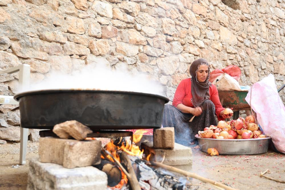 Bu köyde ne ekersen onu biçiyorsun Bölgede Akdeniz ve Karadeniz iklimi esiyor: Olur mu olmaz mı diyerek denedik, oldu