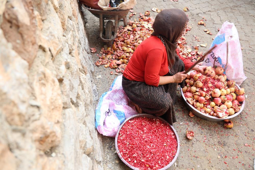 Bu köyde ne ekersen onu biçiyorsun Bölgede Akdeniz ve Karadeniz iklimi esiyor: Olur mu olmaz mı diyerek denedik, oldu