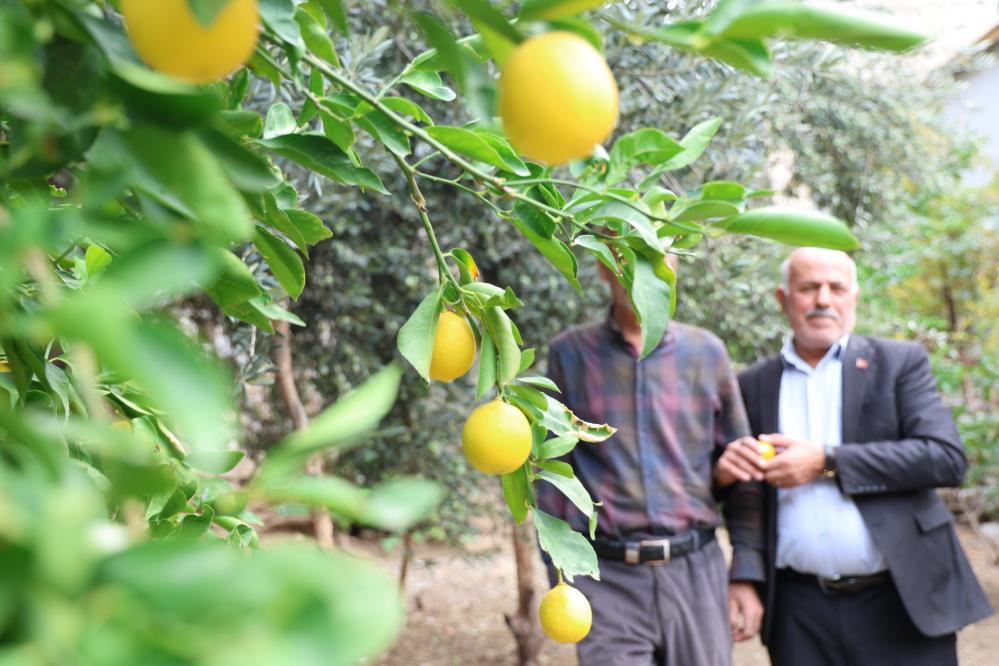 Bu köyde ne ekersen onu biçiyorsun Bölgede Akdeniz ve Karadeniz iklimi esiyor: Olur mu olmaz mı diyerek denedik, oldu