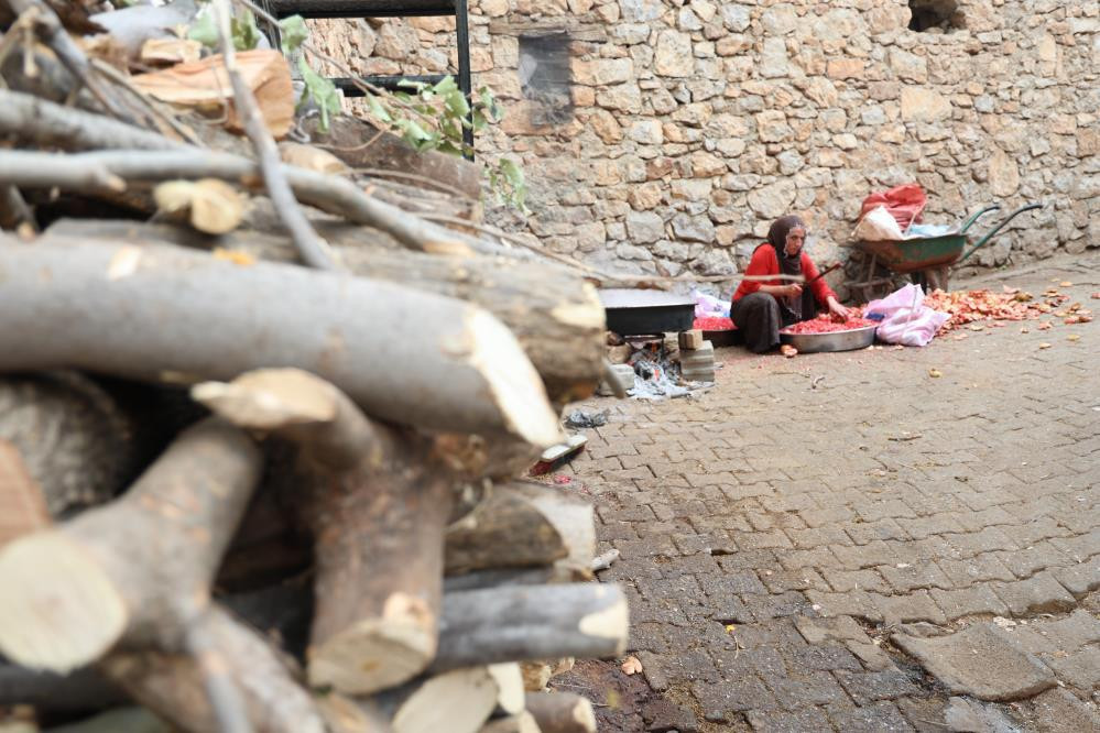 Bu köyde ne ekersen onu biçiyorsun Bölgede Akdeniz ve Karadeniz iklimi esiyor: Olur mu olmaz mı diyerek denedik, oldu