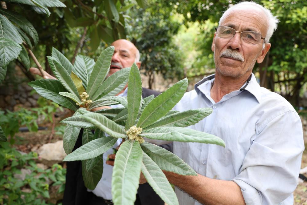 Bu köyde ne ekersen onu biçiyorsun Bölgede Akdeniz ve Karadeniz iklimi esiyor: Olur mu olmaz mı diyerek denedik, oldu