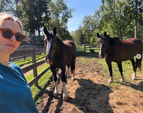 TÜRLÜ TÜRLÜ HAYVANI VAR