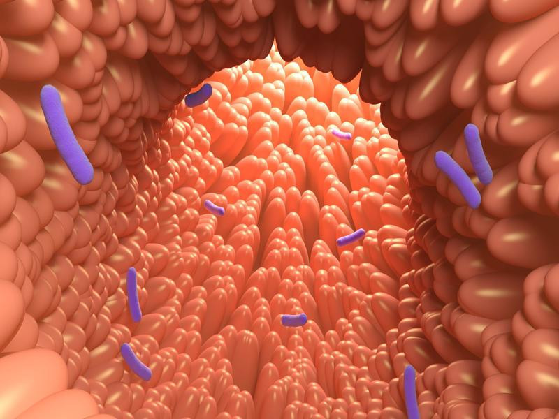 Bir organ kadar önemli Dengesi bozulursa hasta ediyor Bir organ kadar önemli Dengesi bozulursa hasta ediyor