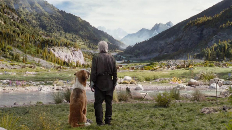 VAHŞETİN ÇAĞRISI FİLMİNİN KONUSU NEDİR VAHŞETİN ÇAĞRISI FİLMİNİN KONUSU NEDİR