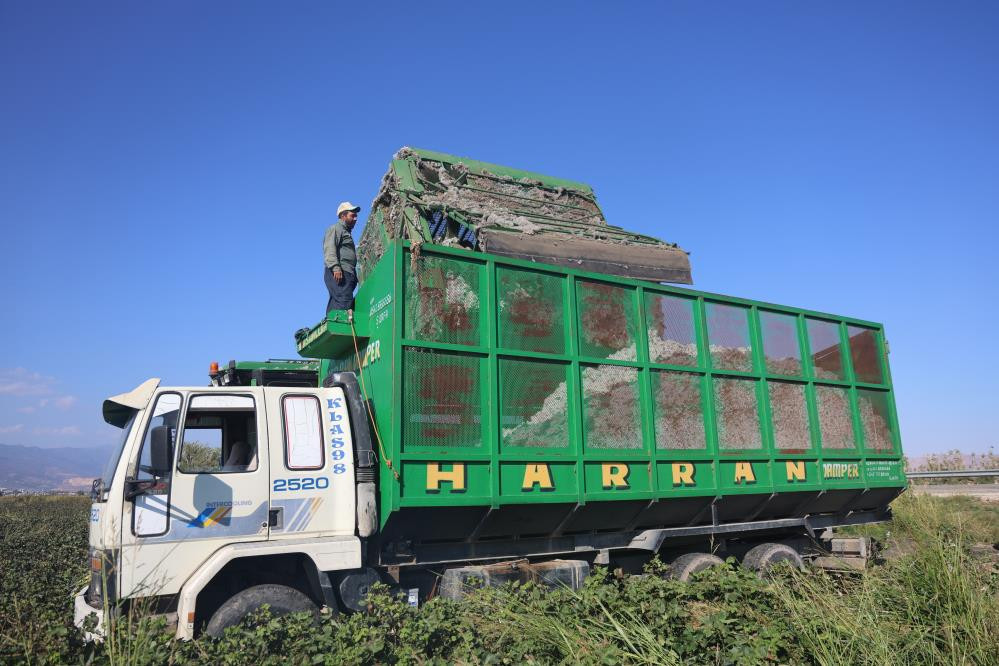  Fiyatı 25 liraya kadar düştü