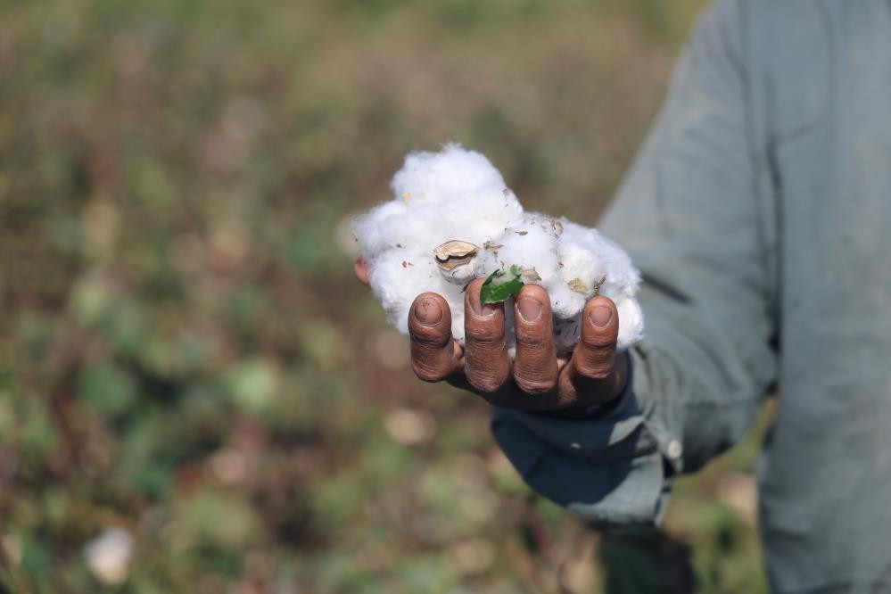  Fiyatı 25 liraya kadar düştü