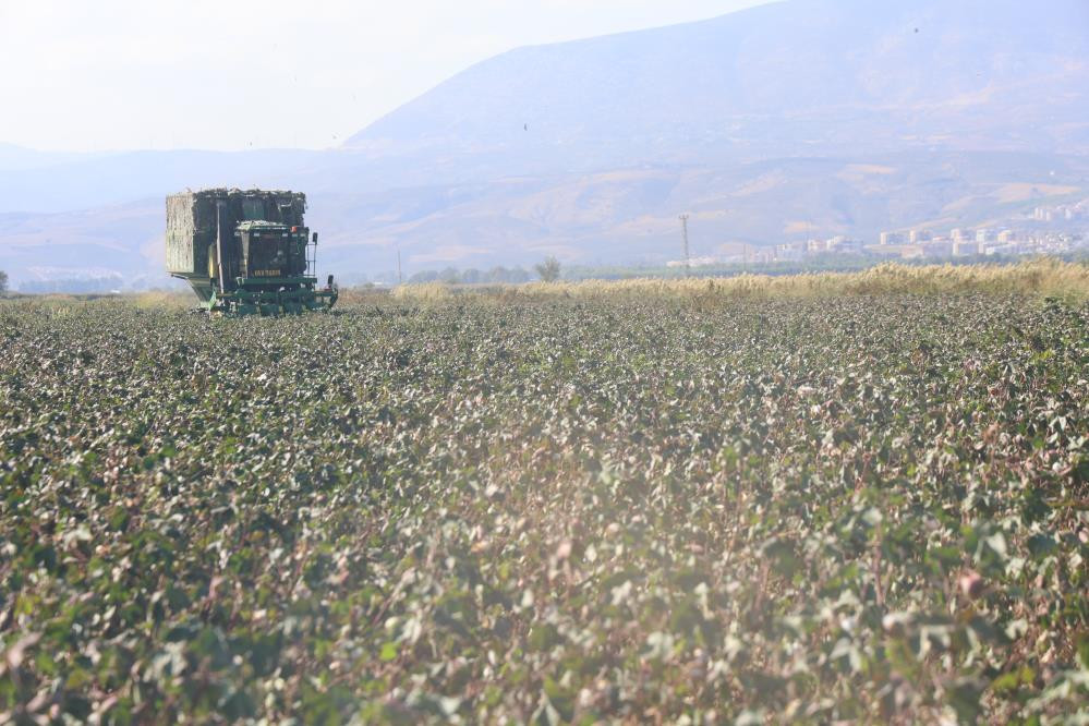  Fiyatı 25 liraya kadar düştü