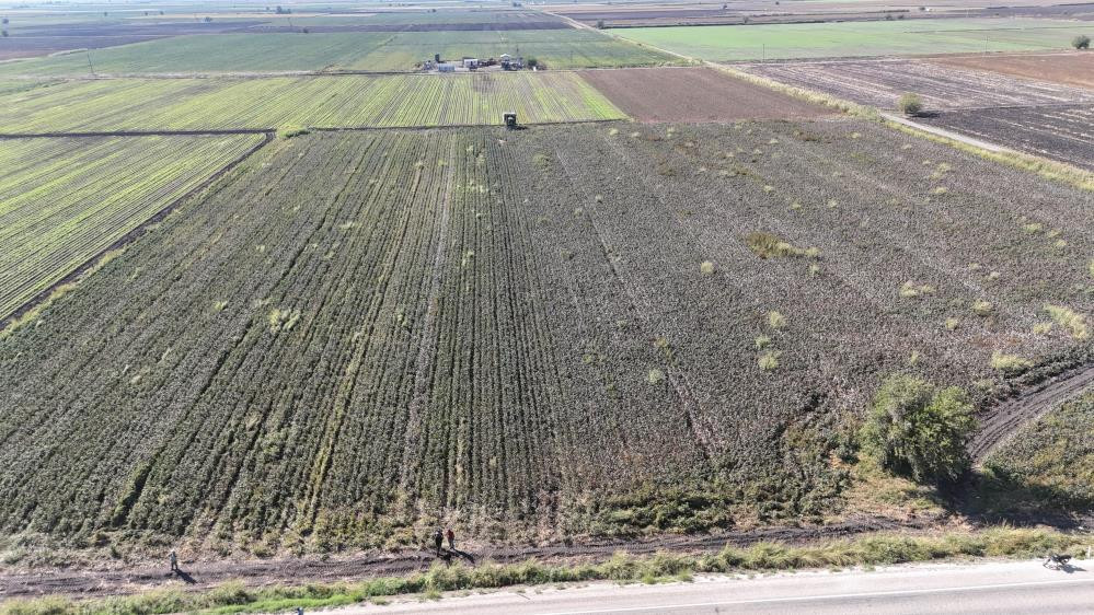  Fiyatı 25 liraya kadar düştü