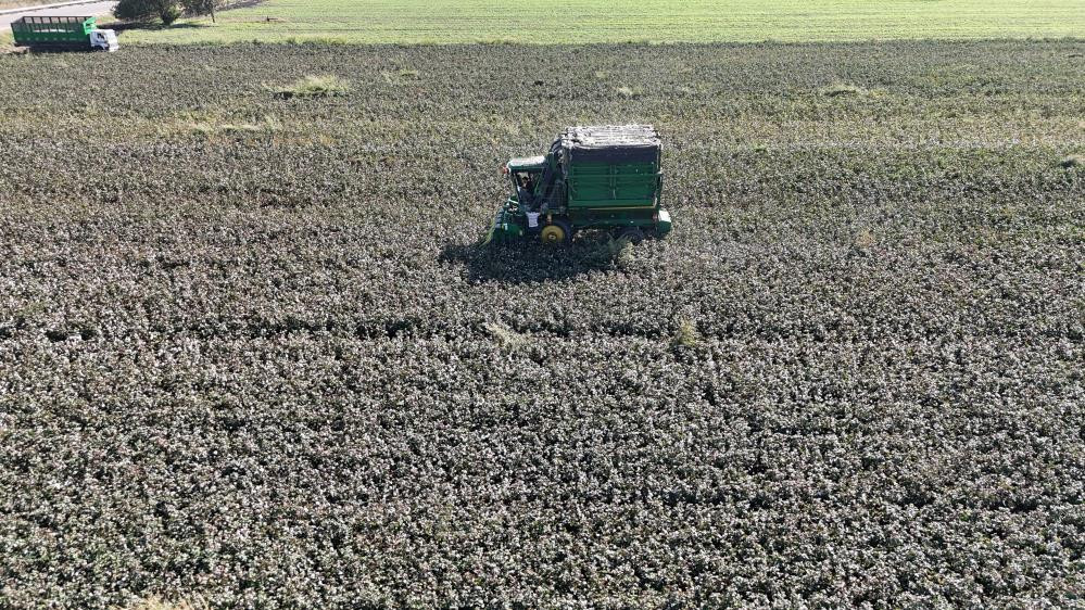  Fiyatı 25 liraya kadar düştü