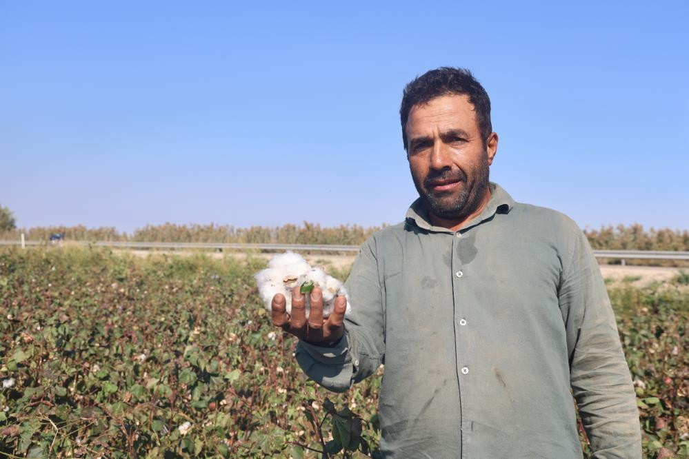  Fiyatı 25 liraya kadar düştü