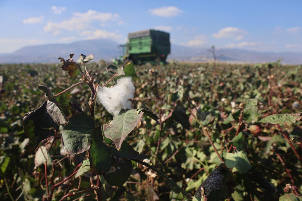  Fiyatı 25 liraya kadar düştü