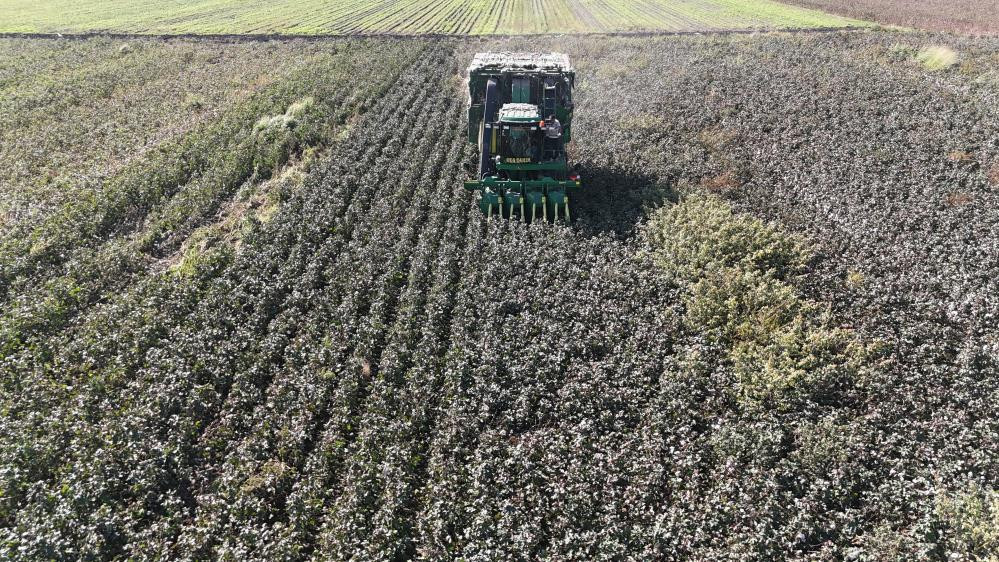  Fiyatı 25 liraya kadar düştü