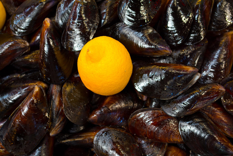 Bir tanesi bile zehirlemek için yeterli Aynı tezgahtan binlerce kişi yedi neden sadece onlar etkilendi Bir tanesi bile zehirlemek için yeterli Aynı tezgahtan binlerce kişi yedi neden sadece onlar etkilendi