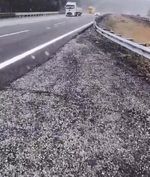 Kar yağışı başladı: Her yer beyaza büründü İstanbulun yanı başındaki ilimize de kar yağdı