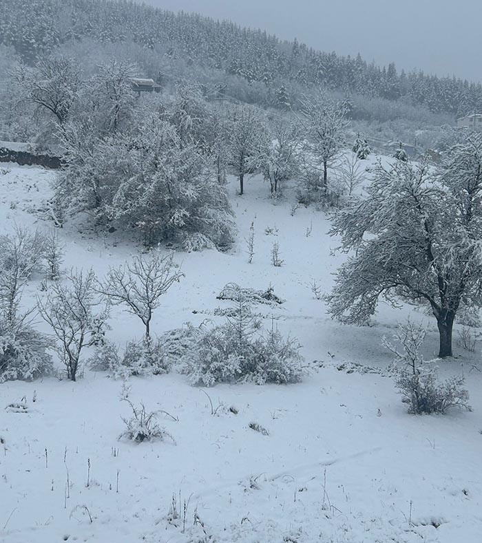 Kar yağışı başladı: Her yer beyaza büründü İstanbulun yanı başındaki ilimize de kar yağdı