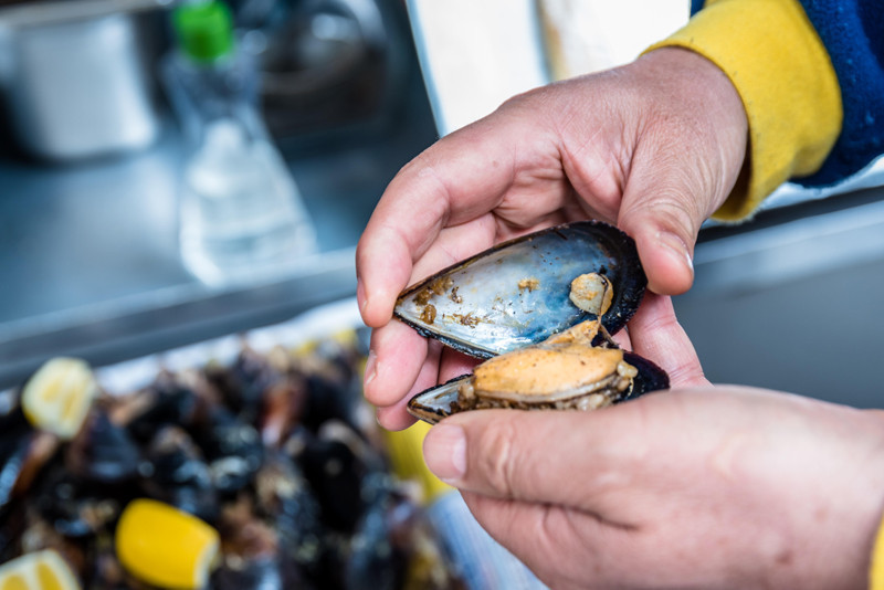 Bir tanesi bile zehirlemek için yeterli Aynı tezgahtan binlerce kişi yedi neden sadece onlar etkilendi Bir tanesi bile zehirlemek için yeterli Aynı tezgahtan binlerce kişi yedi neden sadece onlar etkilendi
