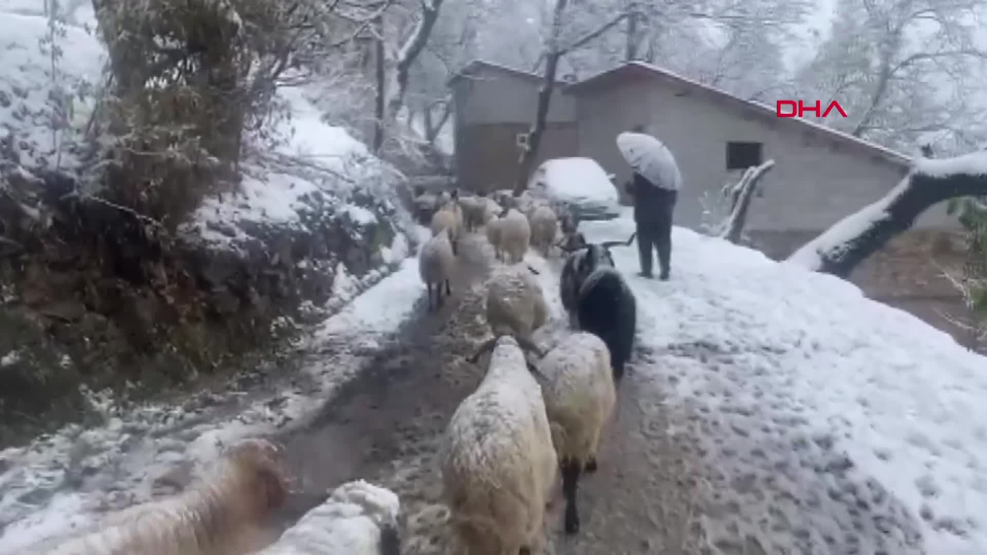 Birçok ilde kar sürprizi Yollar kapandı... Her yer beyaza büründü, hava sıcaklığı sıfırın altına indi Birçok ilde kar sürprizi Yollar kapandı... Her yer beyaza büründü, hava sıcaklığı sıfırın altına indi