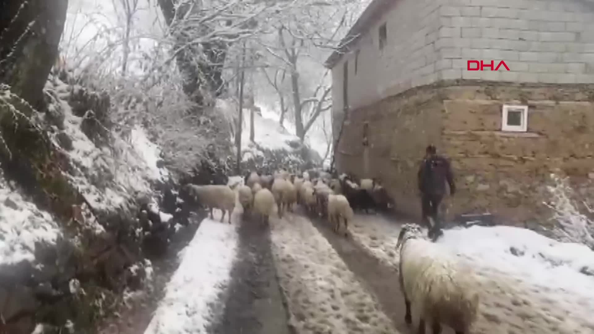 Birçok ilde kar sürprizi Yollar kapandı... Her yer beyaza büründü, hava sıcaklığı sıfırın altına indi Birçok ilde kar sürprizi Yollar kapandı... Her yer beyaza büründü, hava sıcaklığı sıfırın altına indi