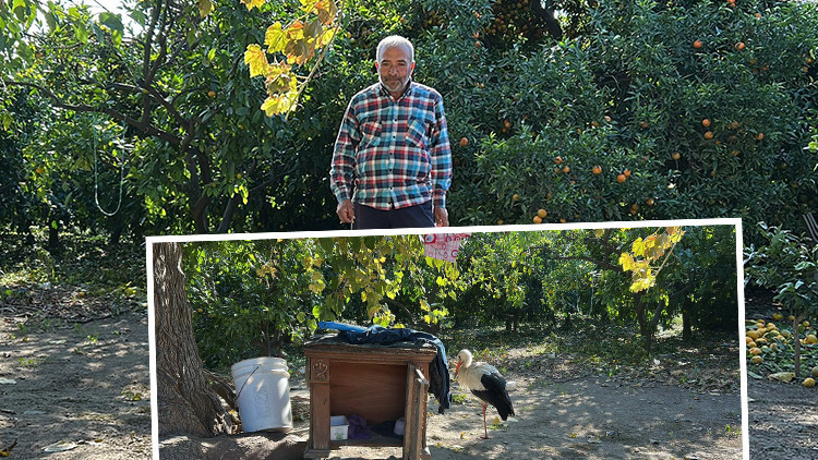 Hataylı vatandaş bahçede buldu: Kümeste tavuklarla birlikte yaşıyor