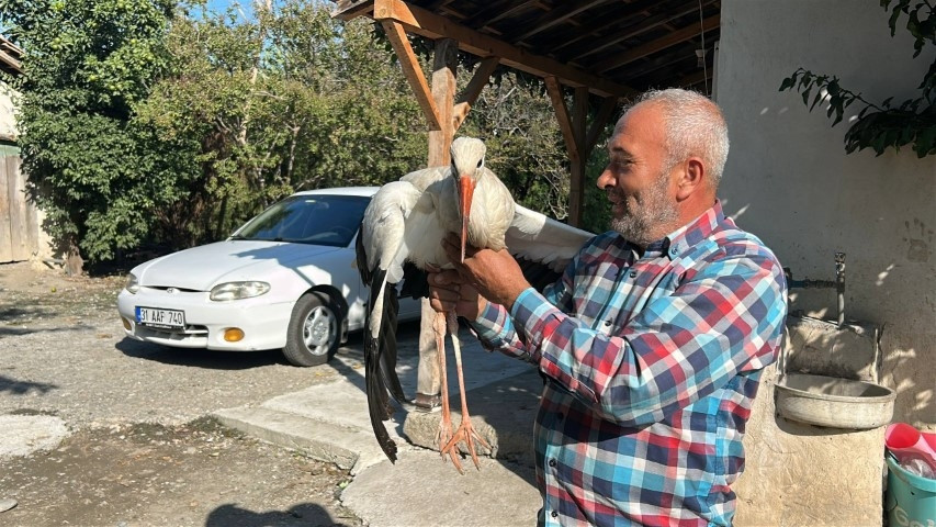 Hataylı vatandaş bahçede buldu: Kümeste tavuklarla birlikte yaşıyor